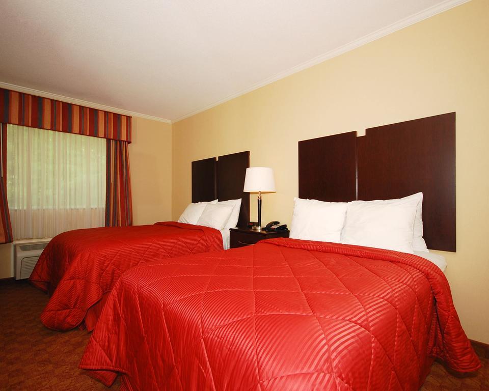 Comfort & Hotel